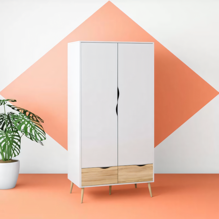 Wardrobe | White & Wooden | 100 x 50 x 220 | WD30